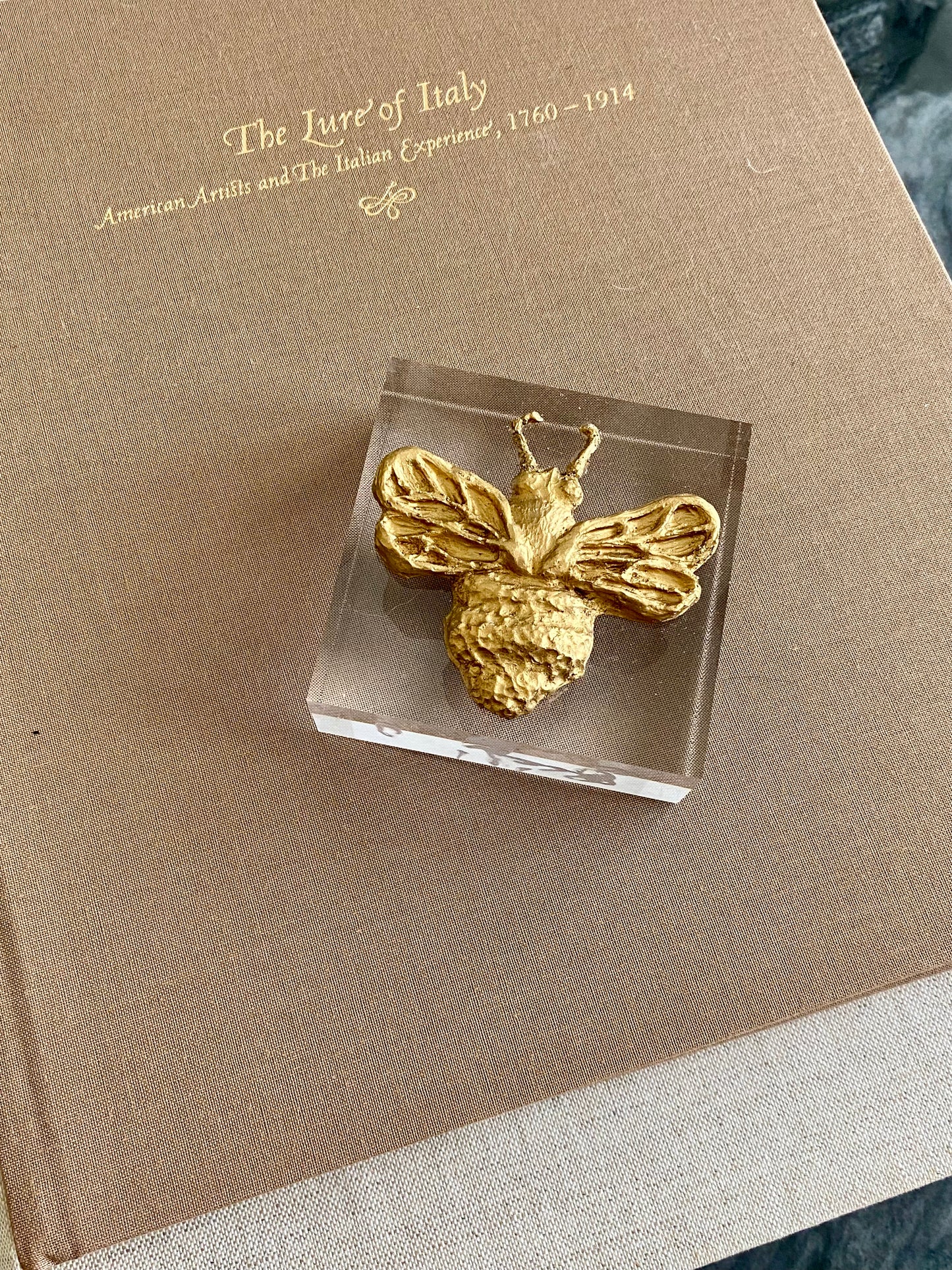 Golden Plaster Bee on Acrylic