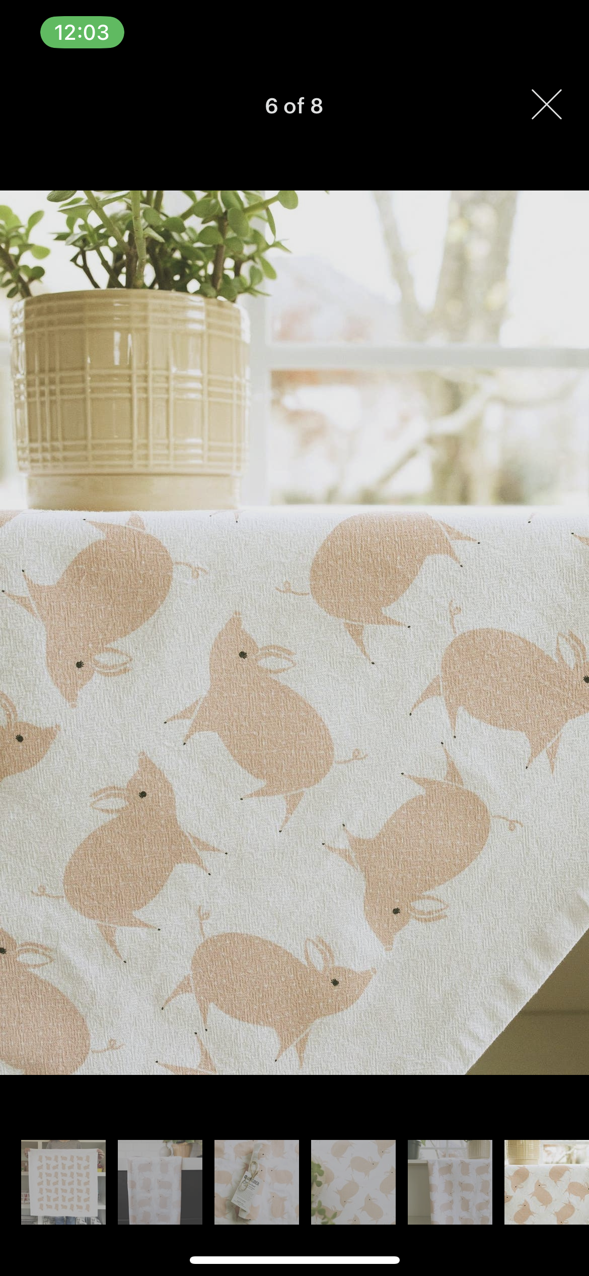 Pig Tea Towel