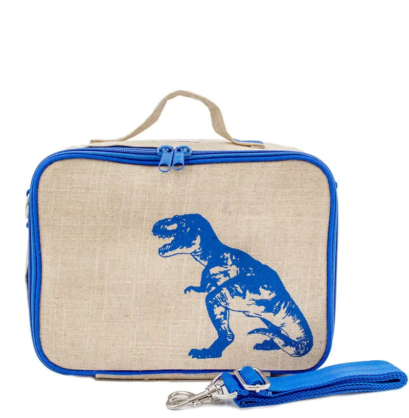 Blue Dino Lunch Box for Kids