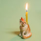 Maine Coon Cat Cake Topper
