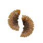 Bronze Ginkgo Leaf Earrings
