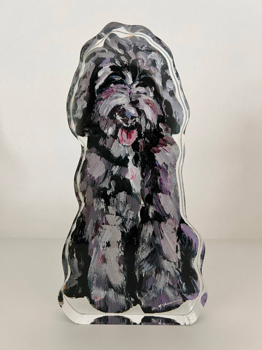 "Golden Doodle Chocolate" acrylic