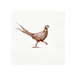 Pheasant Strut White Beverage Napkins