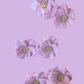 Mini Magnolia Stud Earrings-Light Pink