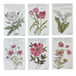 4x6 Floral Verse Print-St. Teresa of Avila