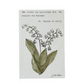 4x6 Floral Verse Print-St. Teresa of Avila