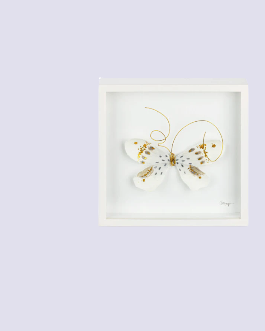 Framed butterfly artwork on a light purple background