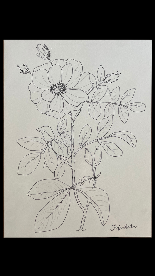 Floral 6 by Jennifer Martin