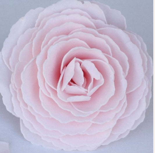 Day In Paris Peony Bath Flower