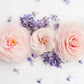 Day In Paris Peony Bath Flower
