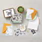 Cat Themed Note Cards