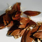 Caramel Gold Dipped Feathers Statement Earrings
